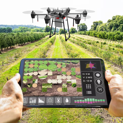 tecnologia-agricultura-de-precision